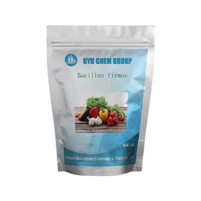 ব্যাসিলাস ফার্মাস কার্যকরভাবে রুট-নট নেমাটোডগুলিকে বাধা দেয় এবং হত্যা করে