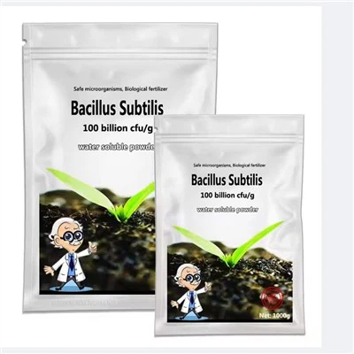 মাইক্রোবিয়াল বায়োটেকনোলজি ব্যাসিলাস সাবটিলিস কৃষির জন্য মাটির উর্বরতা কীটনাশককে বাড়ায়